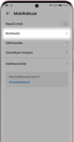 Válaszd ki a a <b>Mobiladat</b> menüpontot.